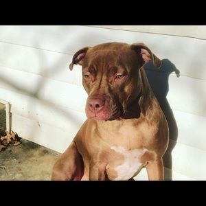 Meet your Posher, Noah